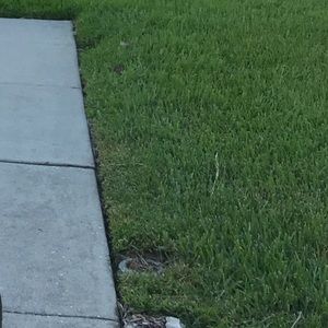 Meet your Posher, Nastacia